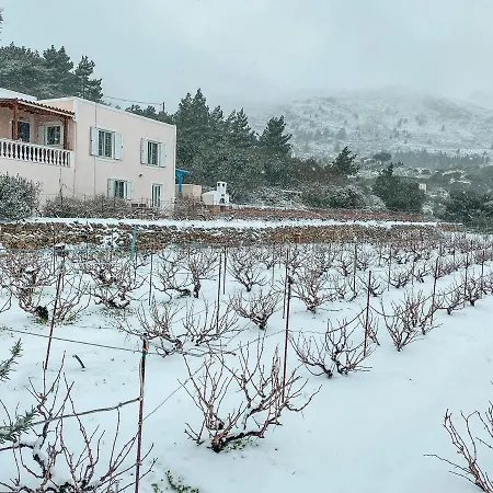 Hikers By The Pini Vineyards Of Karpathos Vendégház