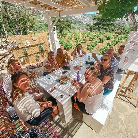 Hikers By The Pini Vineyards Of Karpathos * Voládha